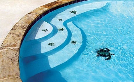 1._Pool-mosaics-for_steps-pool-bottom-13