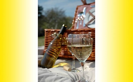 2._picnic