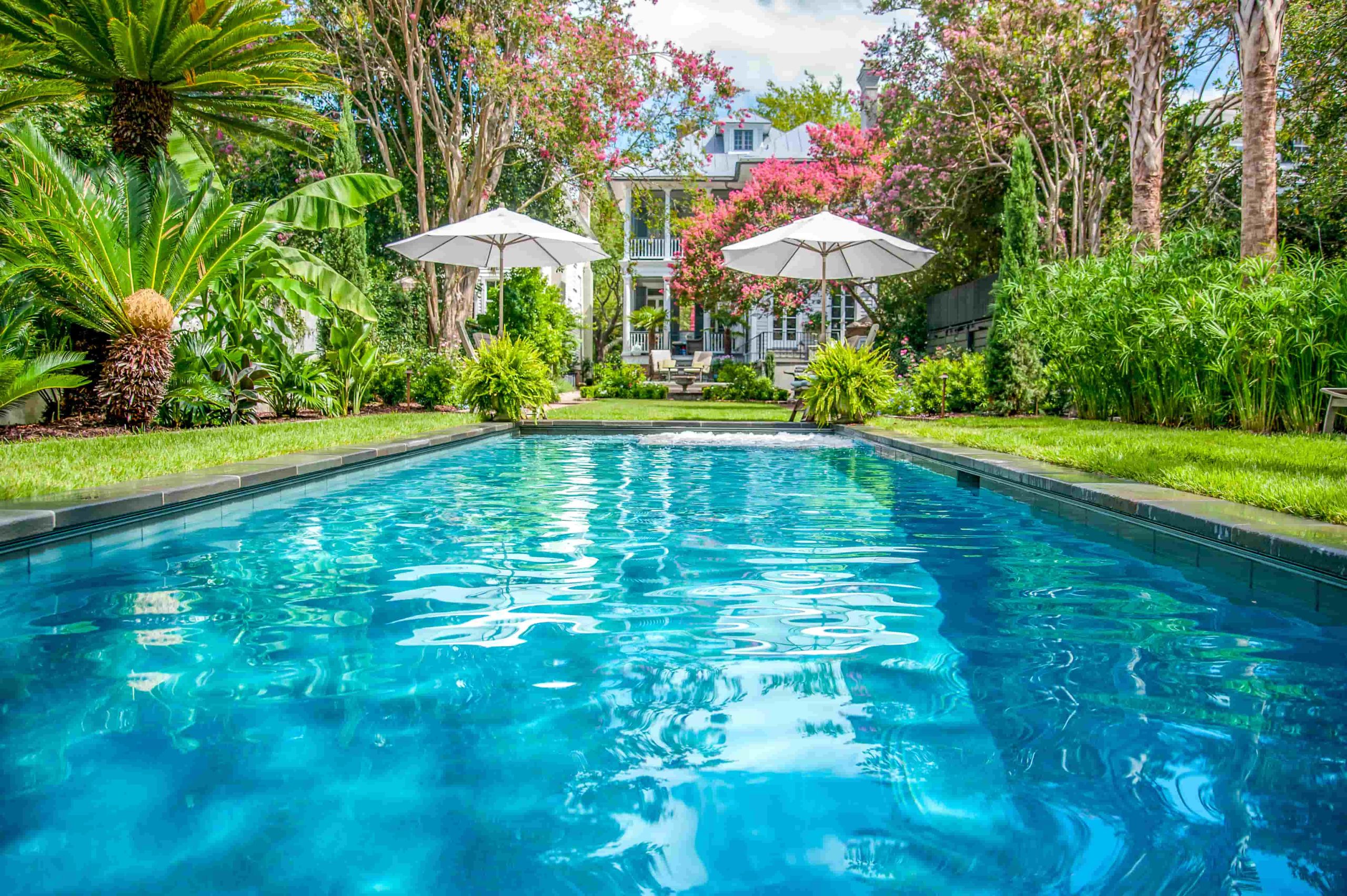 Long resort-style swimming pool surrounded by lush tropical landscaping, white umbrellas, flowering trees, and a house in the background.