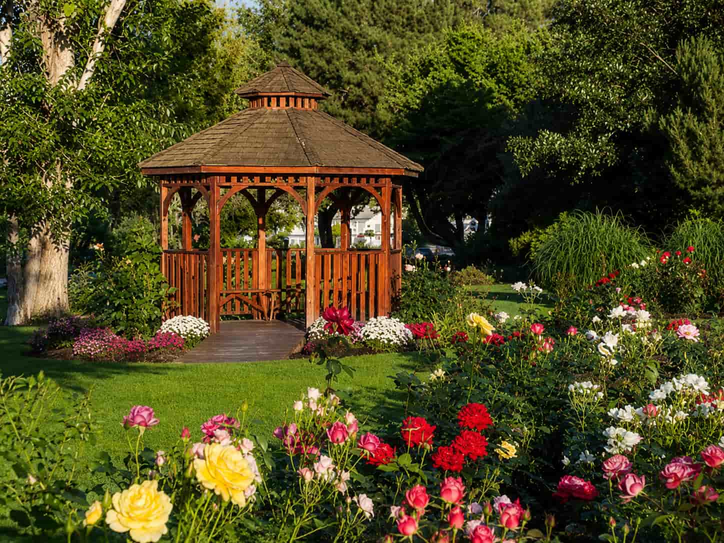 Wooden backyard gazebo surrounded by a lush rose garden and mature trees