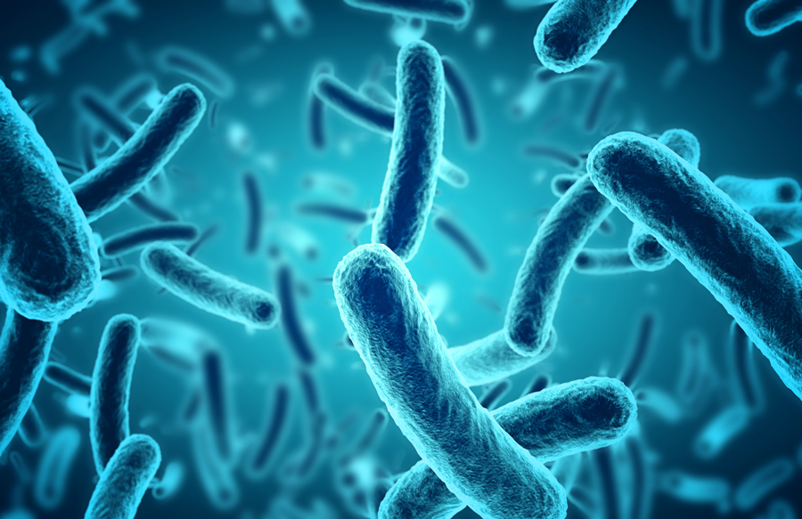e-coli