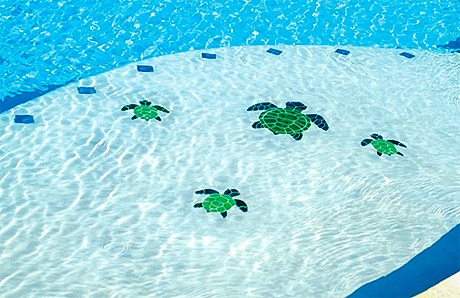 Gunite Pool with Baja Shelf with Turtle Mosaic Gunite Pool with Baja Shelf with Turtle Mosaic