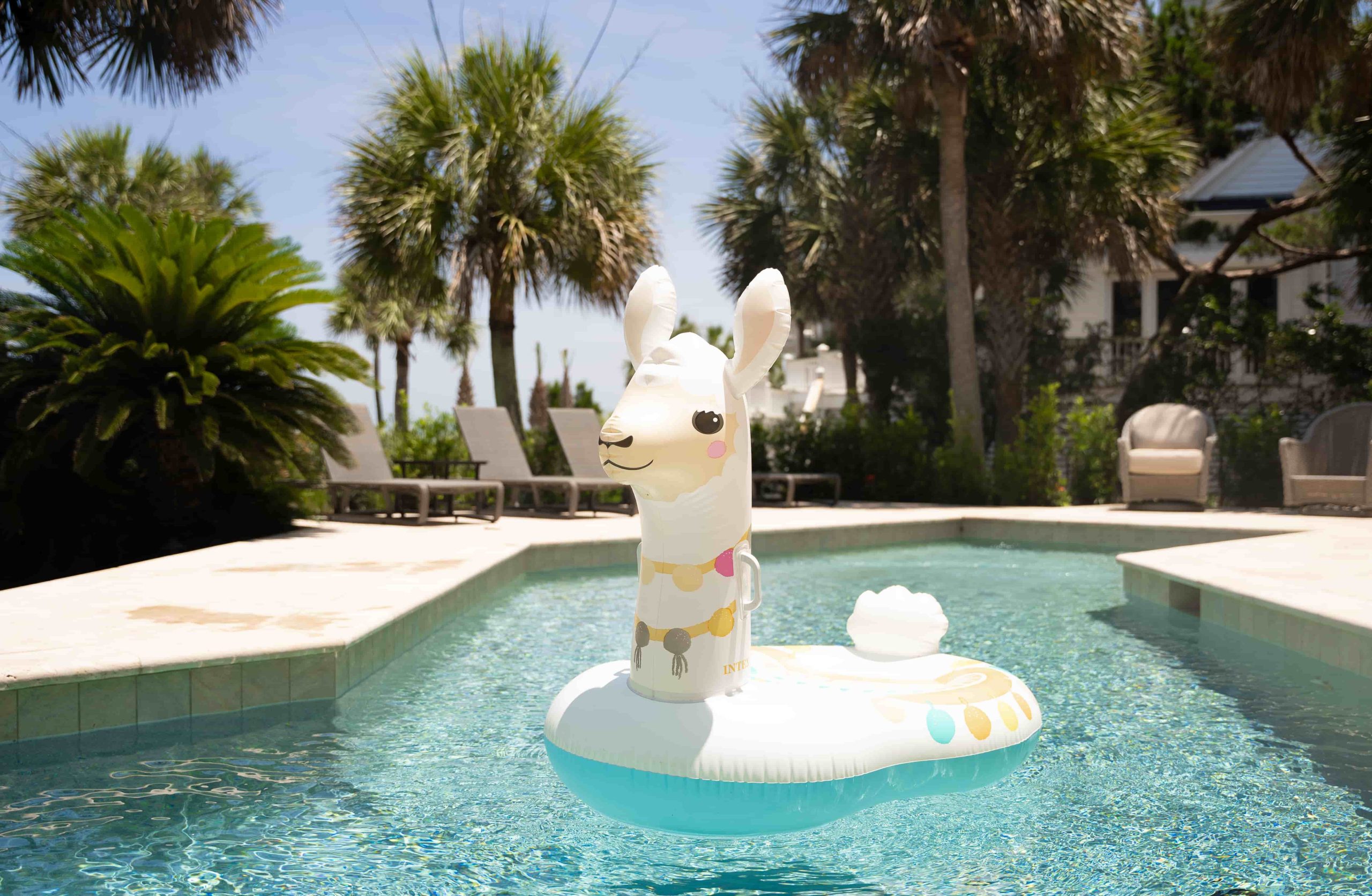 Inflatable llama pool float drifting in a backyard swimming pool surrounded by palm trees and lounge chairs