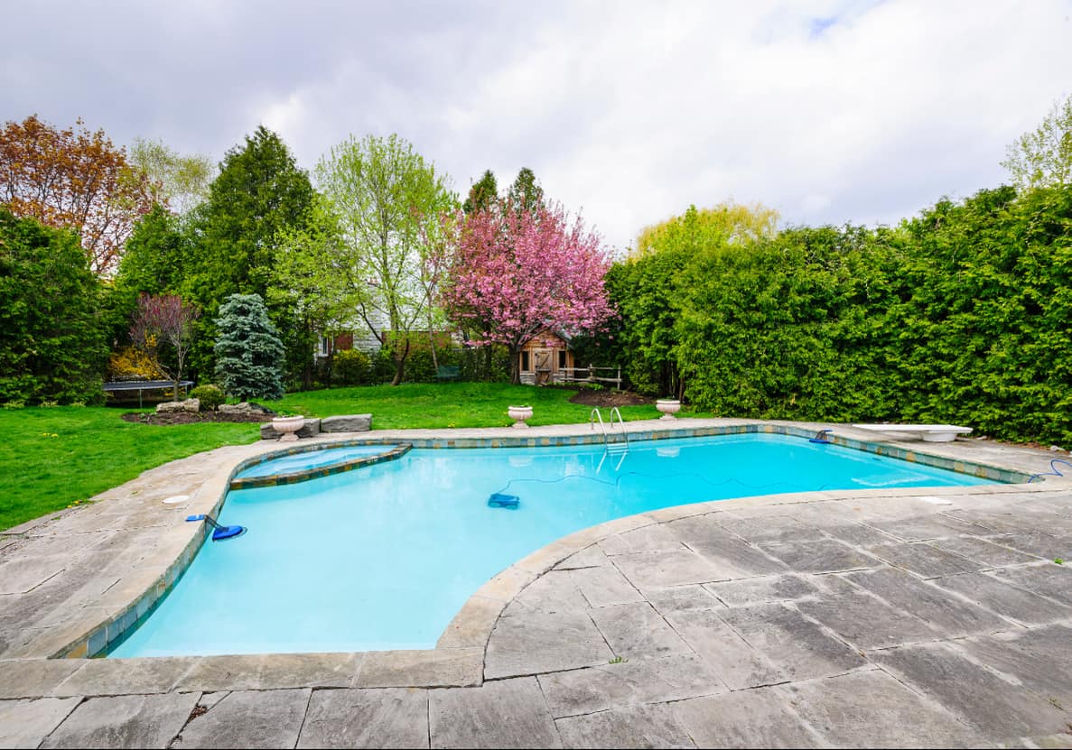 Inground pool with layered trees and evergreen shrubs providing backyard privacy