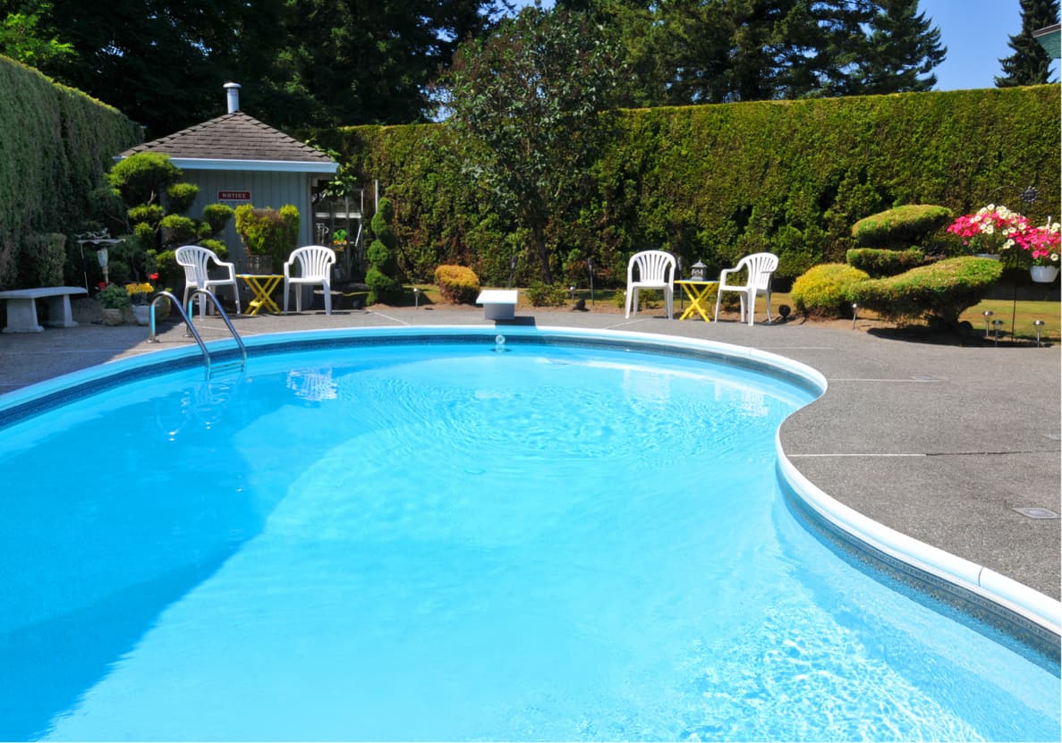 Backyard swimming pool surrounded by tall privacy hedges and mature trees